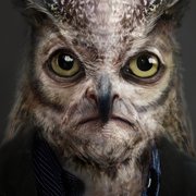 OwlNation's Avatar