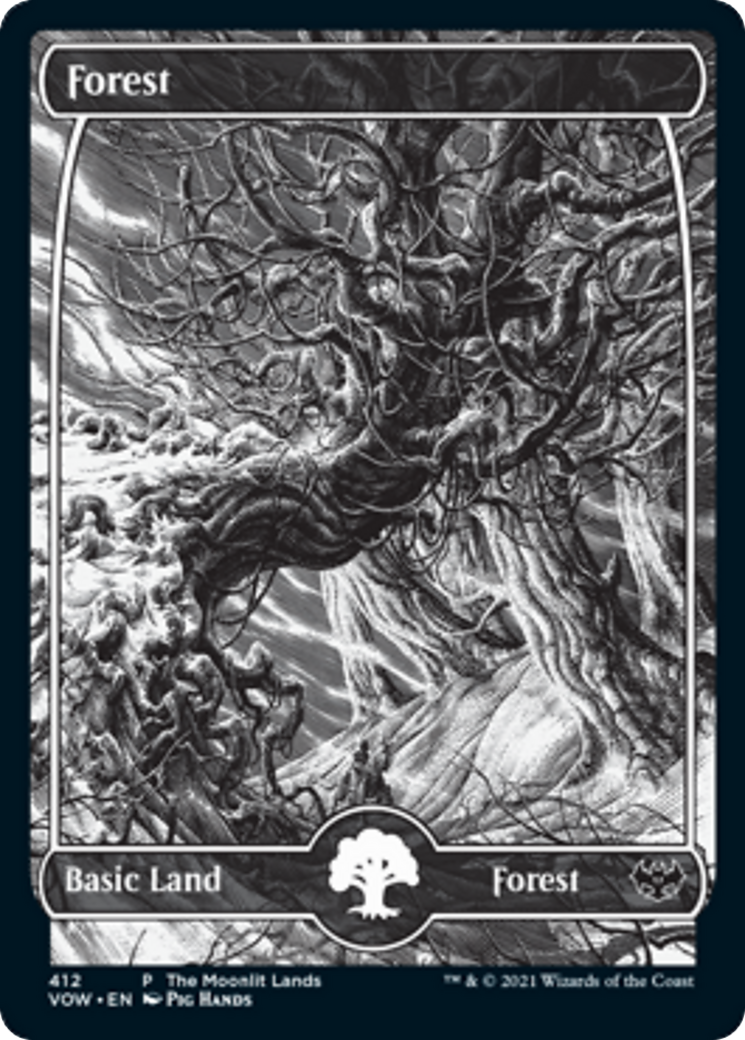Forest Card Image