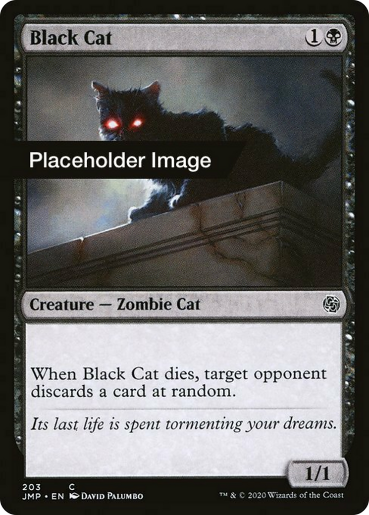 Black Cat Card Image