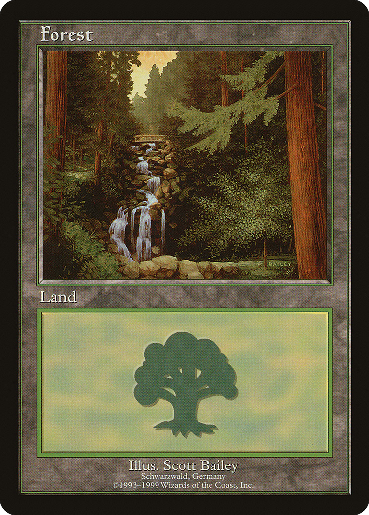 Forest Card Image