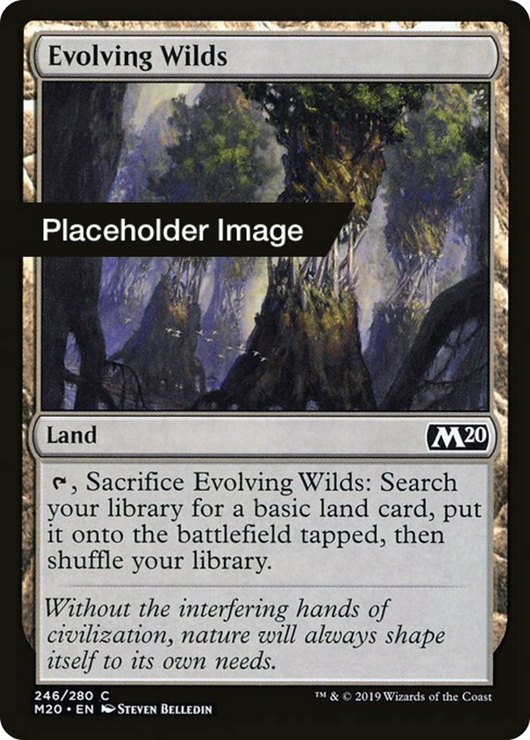 Evolving Wilds Card Image