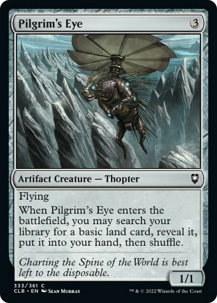Pilgrim's Eye Card Image