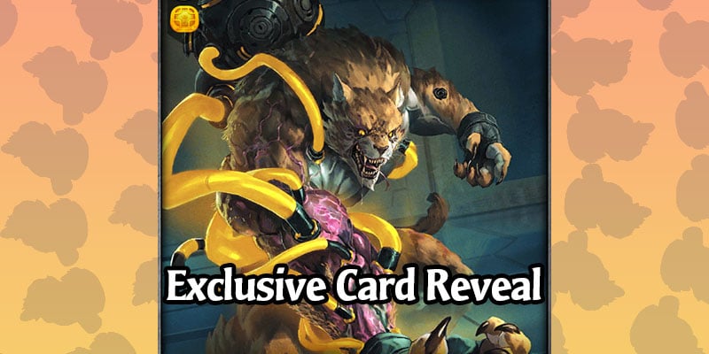 EXCLUSIVE Mythgard Rings of Immortality Card Reveal - Steroid Drip