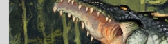 River Crocolisk