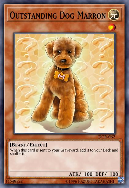 Outstanding Dog Marron Card Image