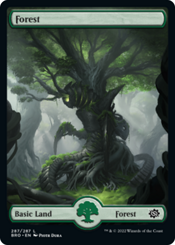 Forest Card Image