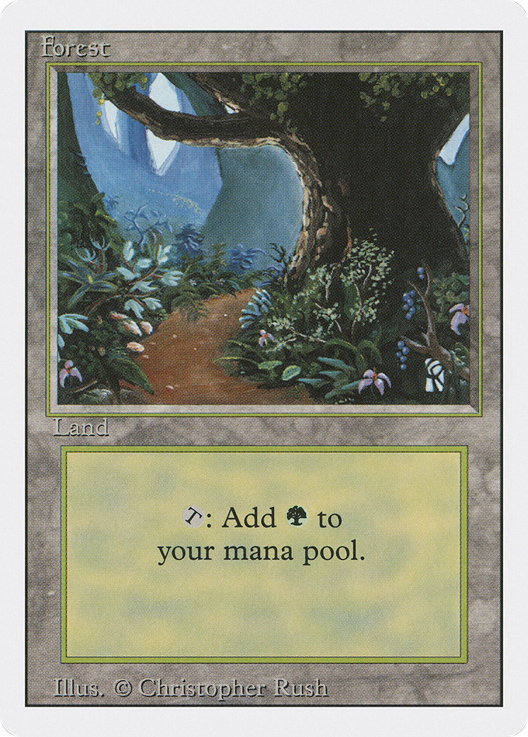 Forest Card Image