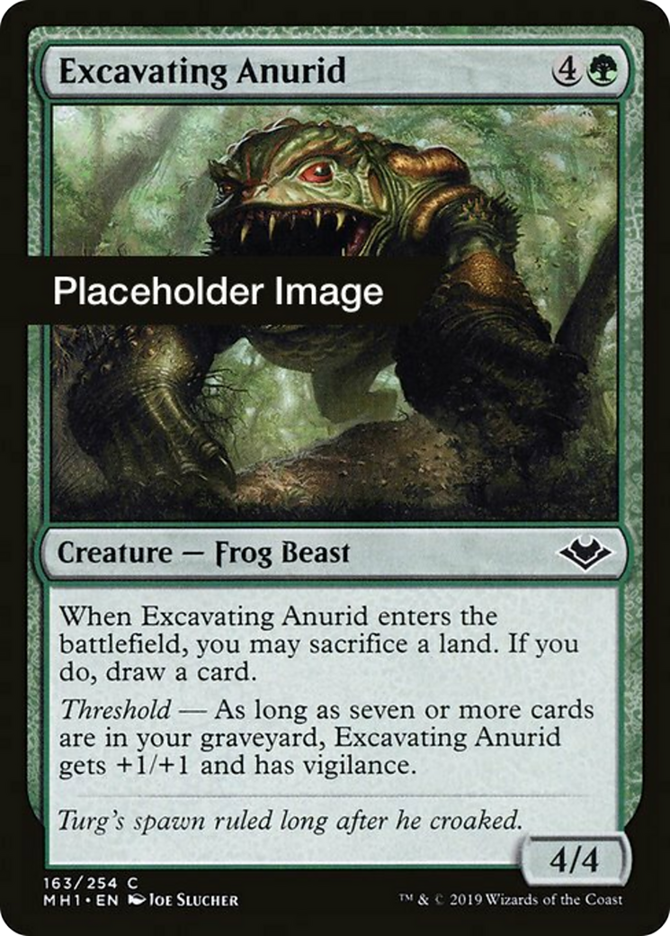 Excavating Anurid Card Image