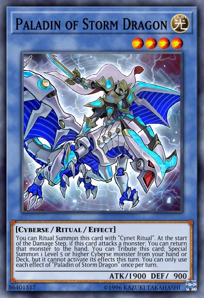 Paladin of Storm Dragon Card Image