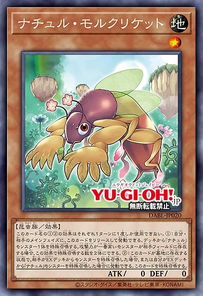 Naturia Mole Cricket Card Image