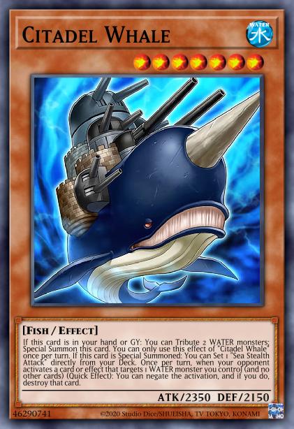 Citadel Whale Card Image
