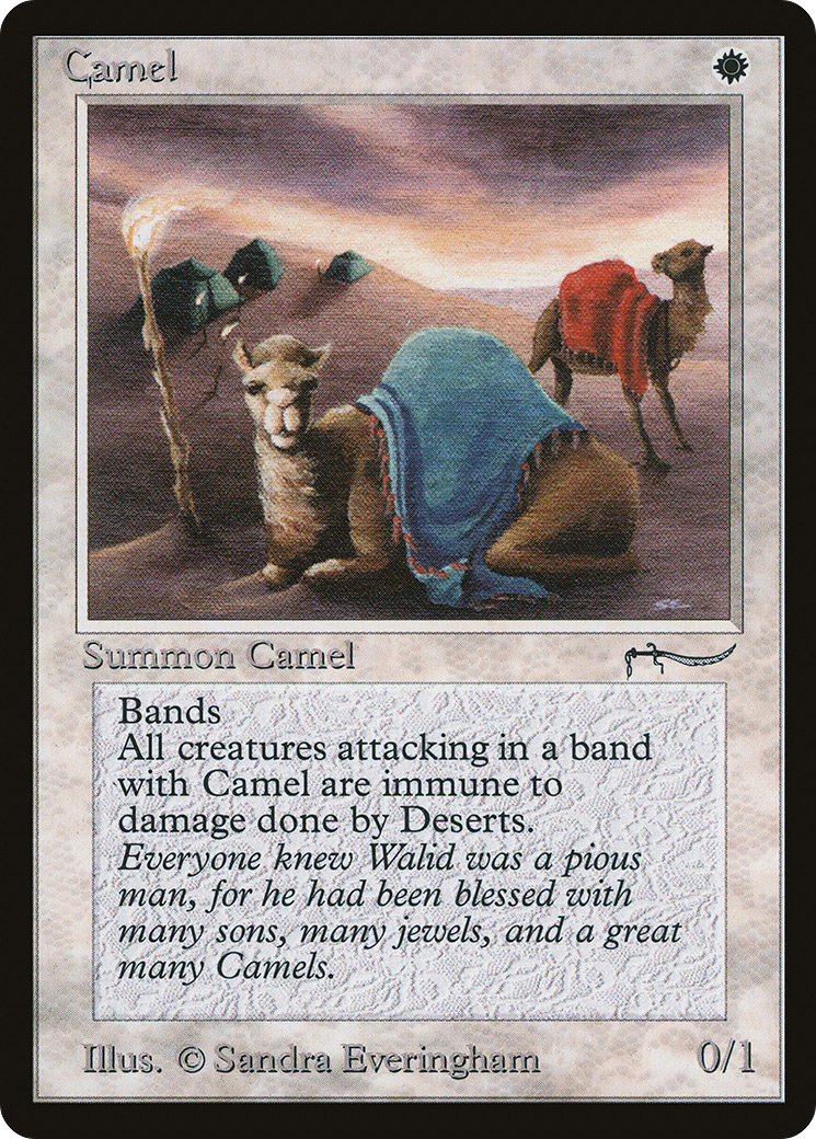 Camel Card Image