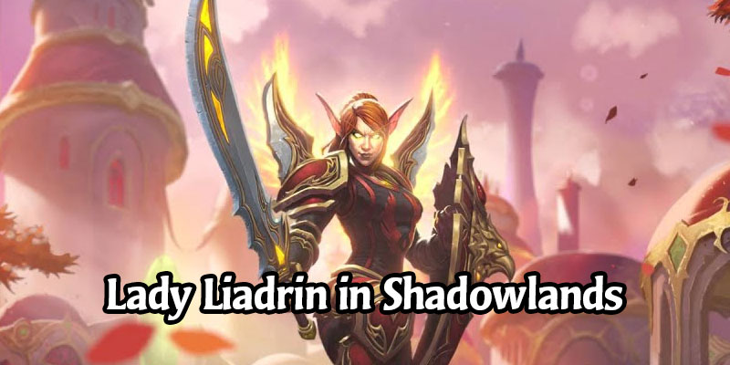 World of Warcraft's Upcoming Shadowlands Level Squish Won't Change Lady Liadrin's Unlock Criteria