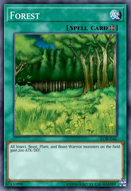 Forest Card Image