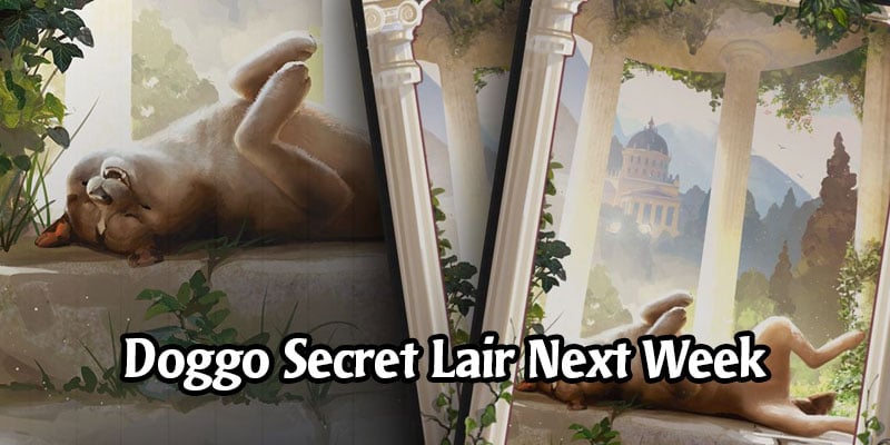 Secret Lair Returns Later This Month With a Dog Sleeve in MTG Arena - International Dog Day 2020