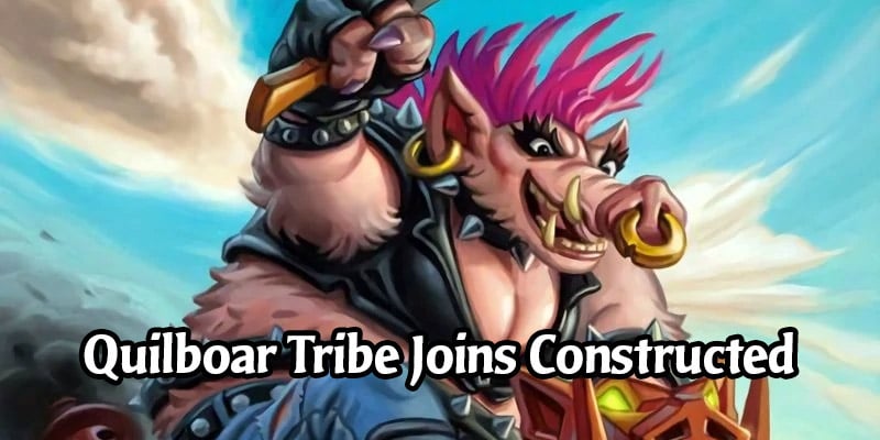 Quilboar Officially Becomes a Tribe in Hearthstone! 13 Collectible Cards Get the Tribe Tag