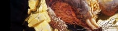 Dire Mole