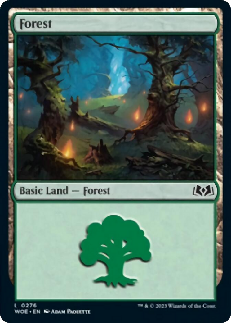 Forest Card Image