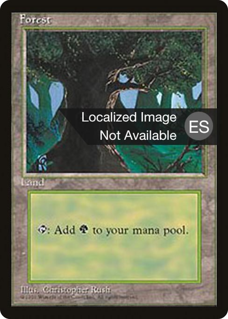 Forest Card Image