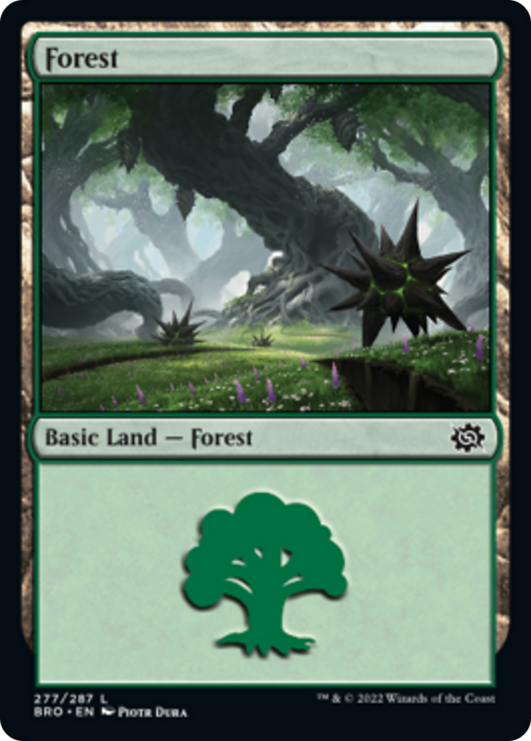 Forest Card Image