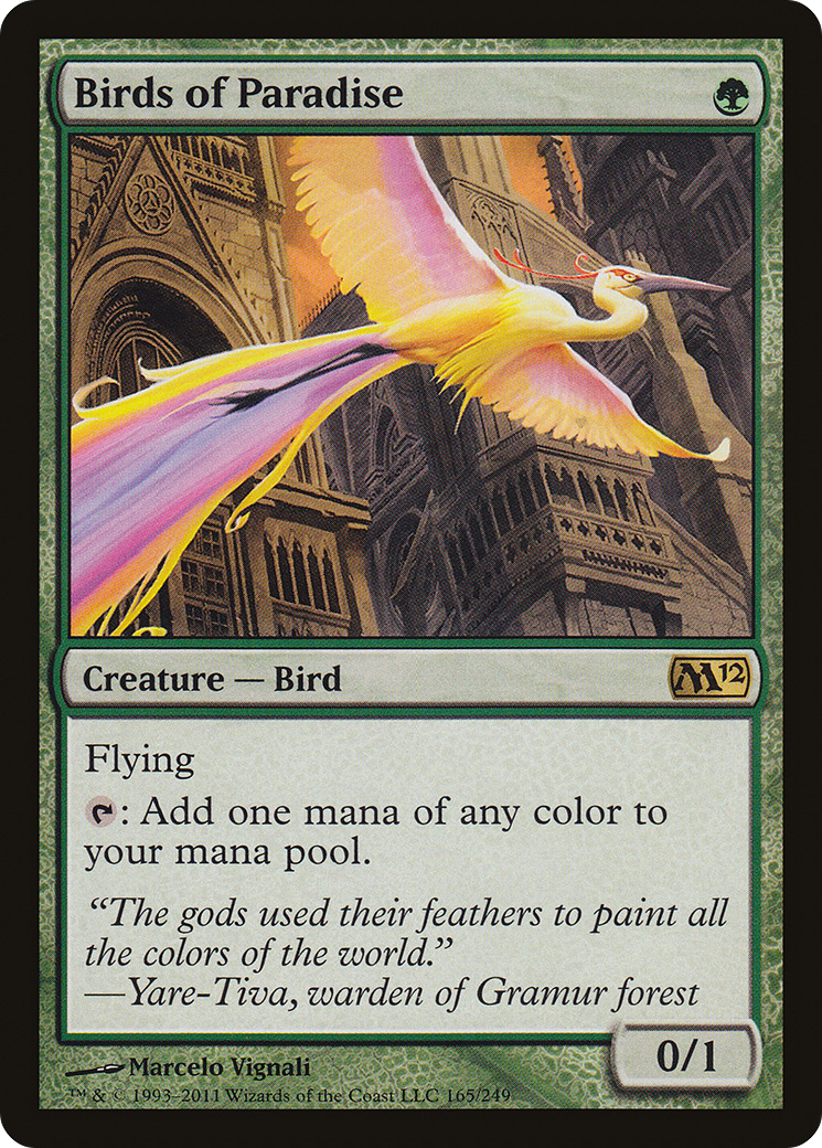 Birds of Paradise Card Image