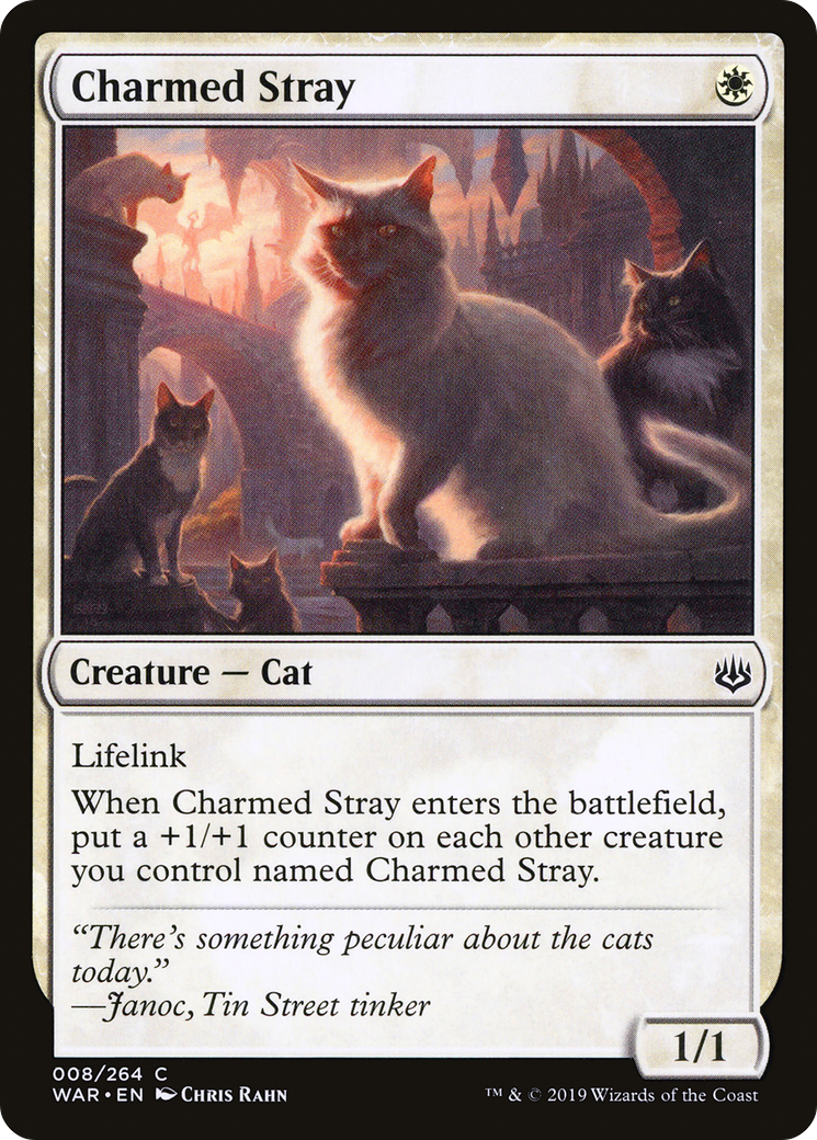 Charmed Stray Card Image