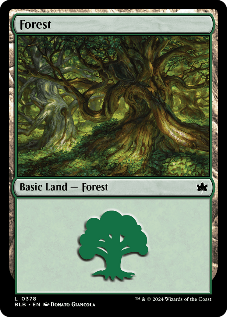 Forest Card Image