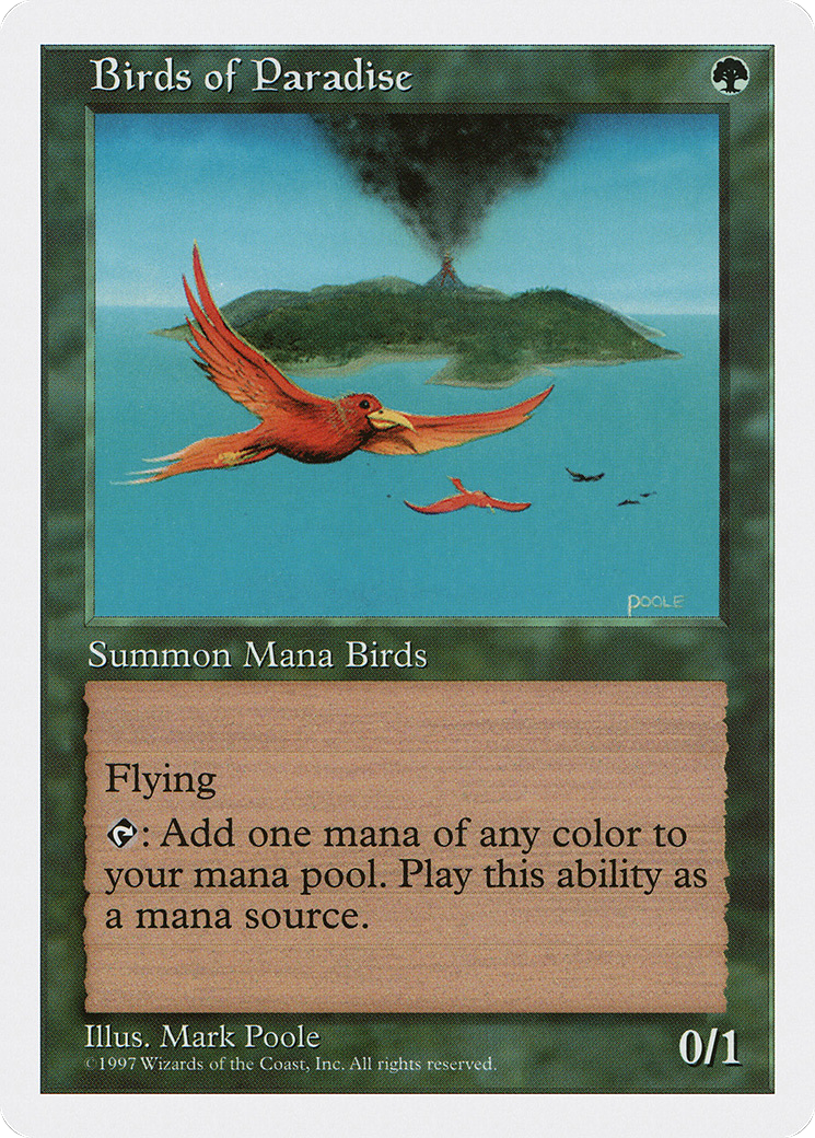 Birds of Paradise Card Image