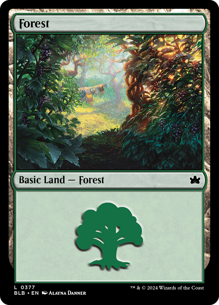 Forest Card Image