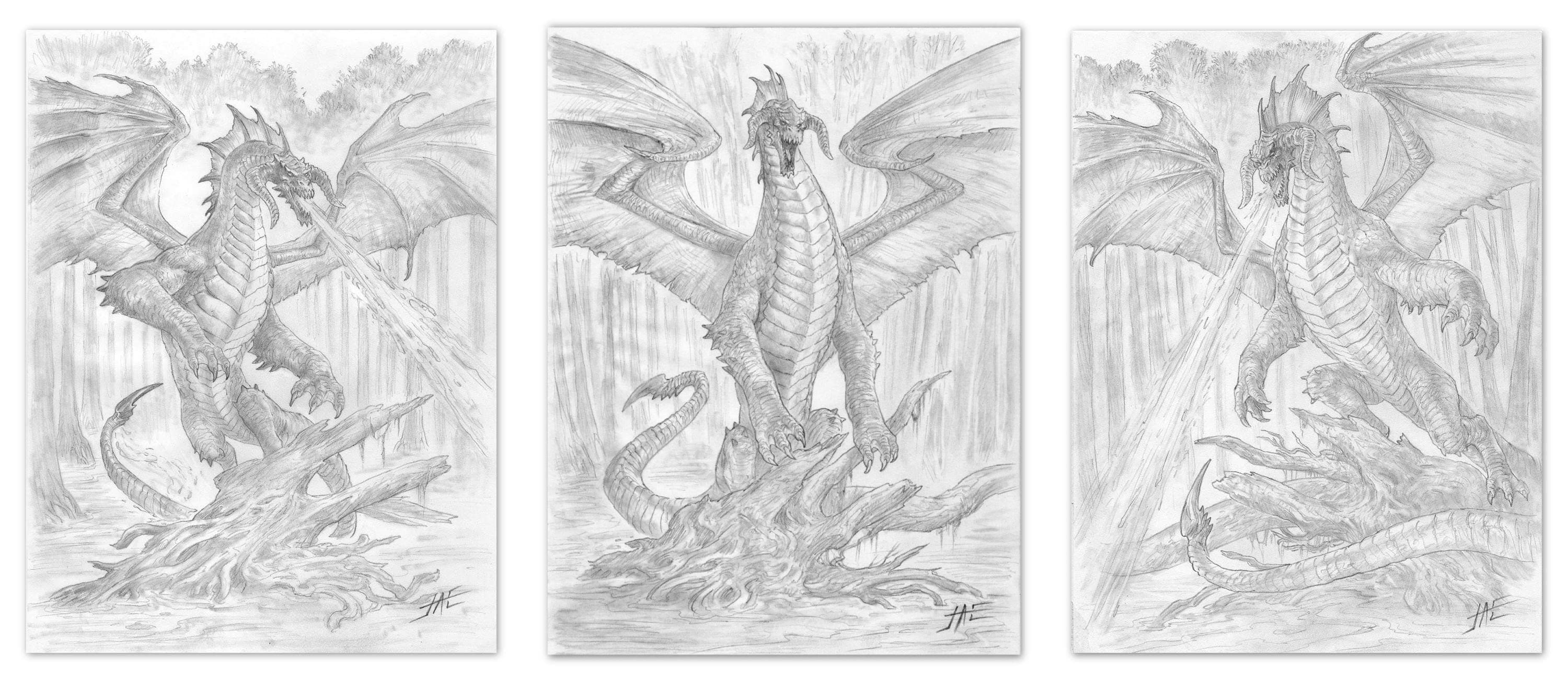 https://youre.outof.games/media/uploads/34/ca/34ca2598-4377-44f7-b3de-85fc65cbc1f8/blackdragon_sketch_jasonengle.jpg