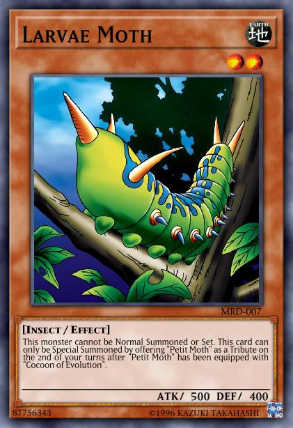 Larvae Moth Card Image