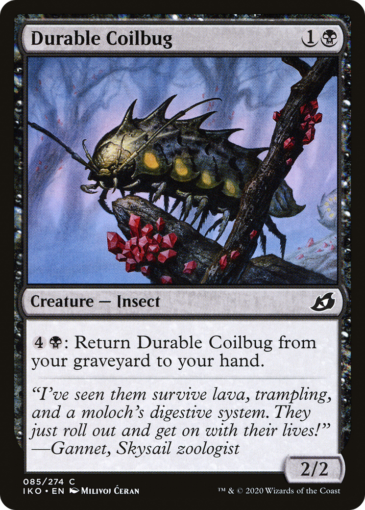 Durable Coilbug Card Image