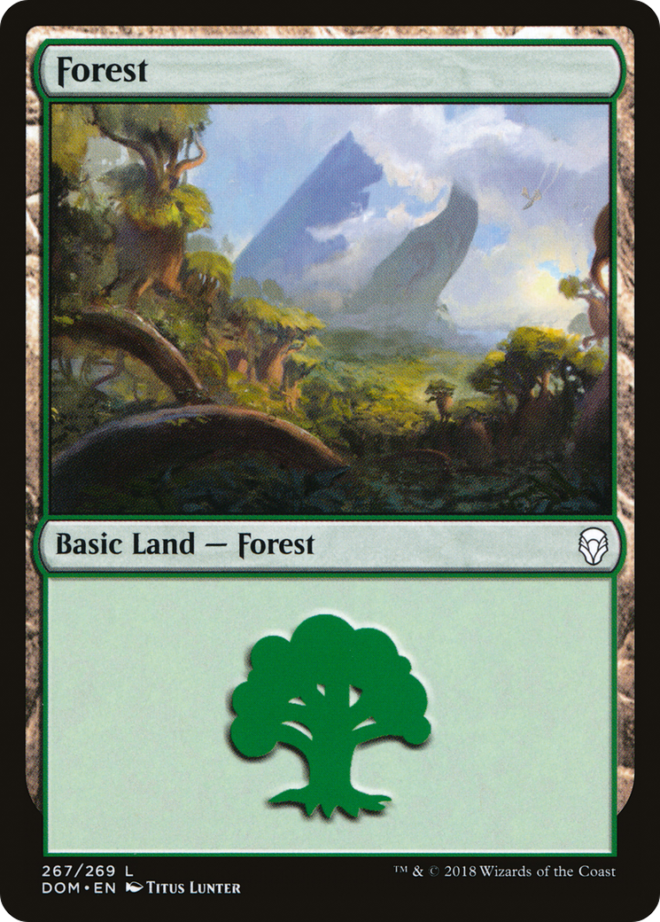 Forest Card Image