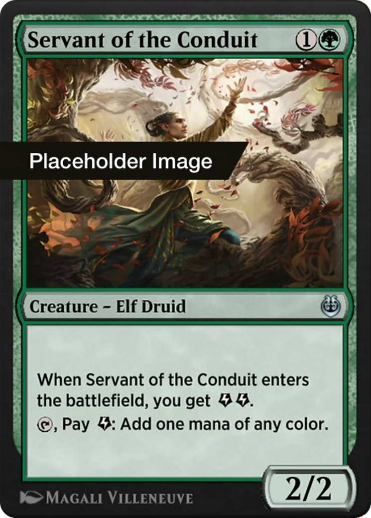 Servant of the Conduit Card Image
