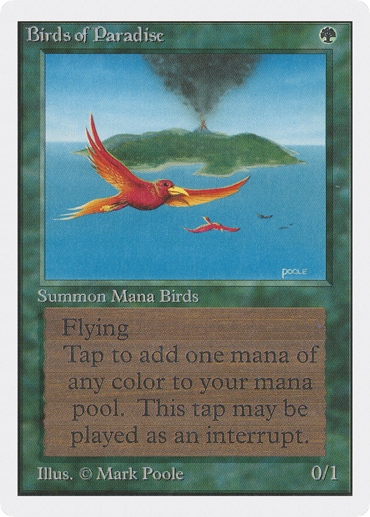 Birds of Paradise Card Image