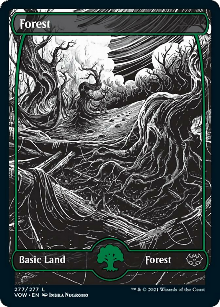 Forest Card Image