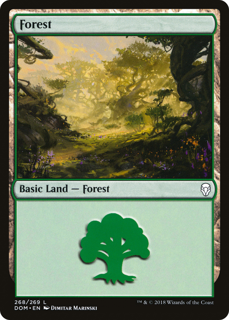 Forest Card Image