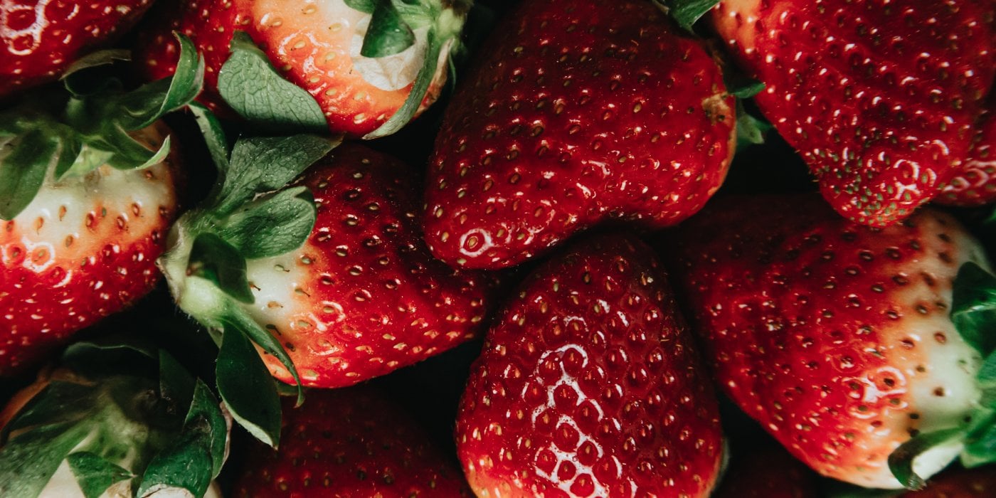 Solve Our "Inviting Ingredients" Word Search Puzzle to Celebrate the Out of Carbs Launch