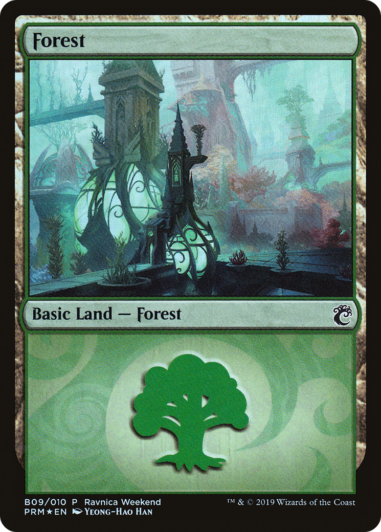 Forest Card Image