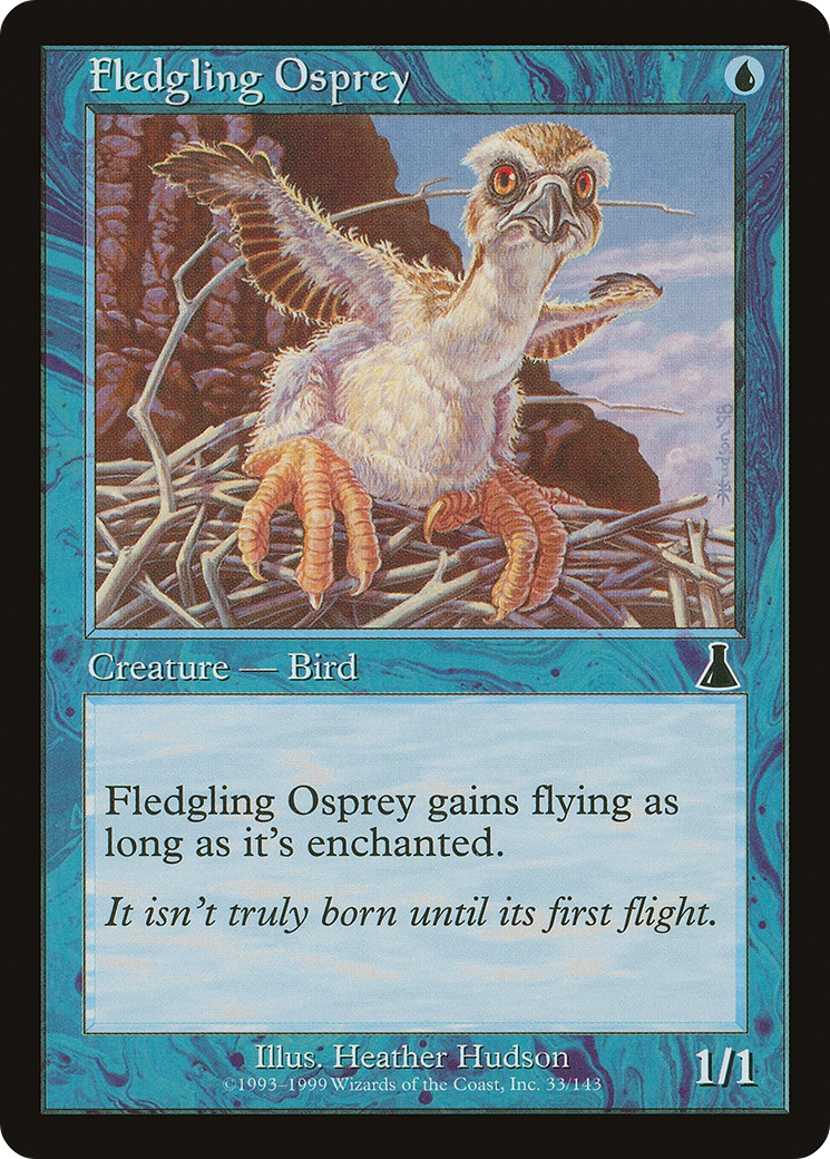 Fledgling Osprey Card Image