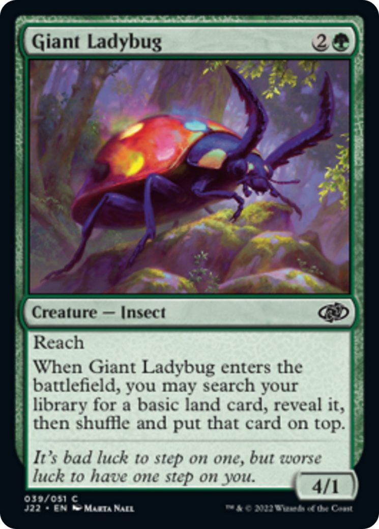 Giant Ladybug Card Image