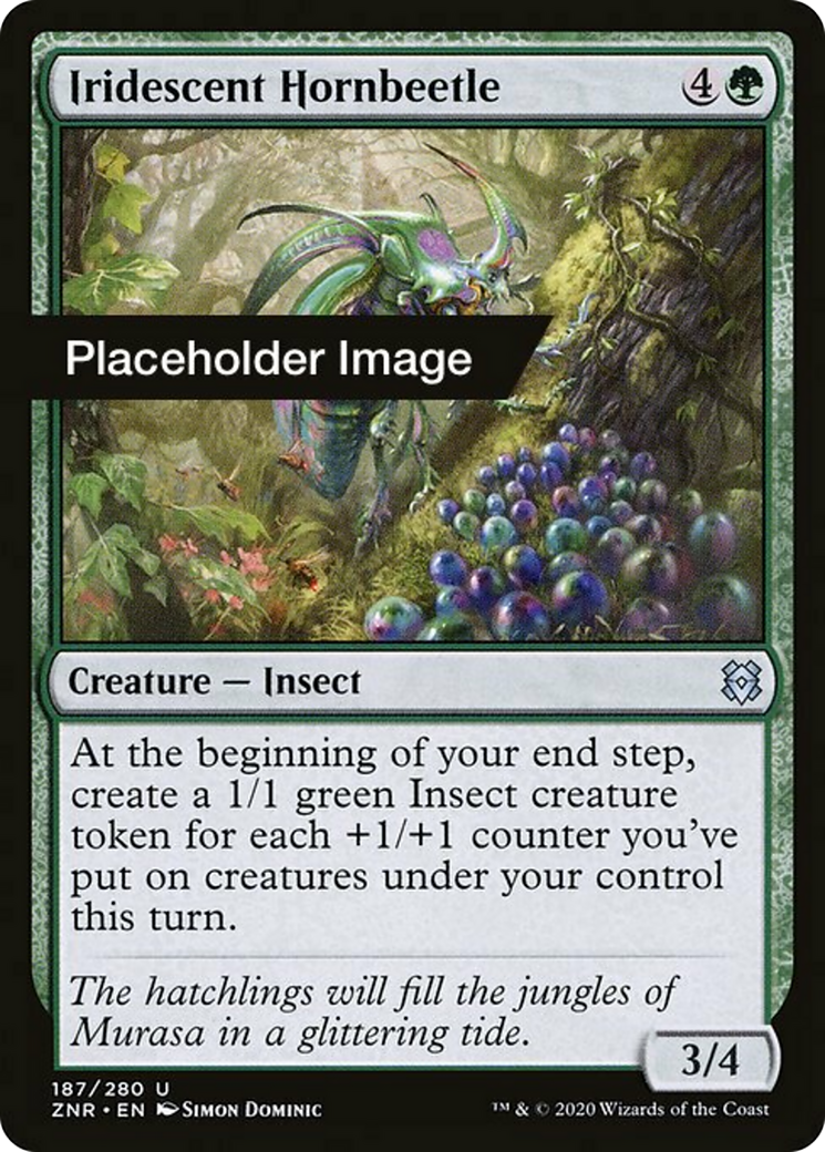 Iridescent Hornbeetle Card Image