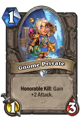 Gnome Private Card Image