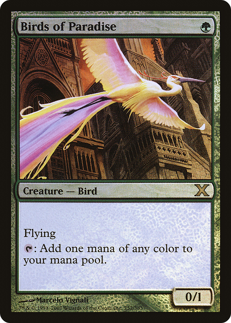 Birds of Paradise Card Image