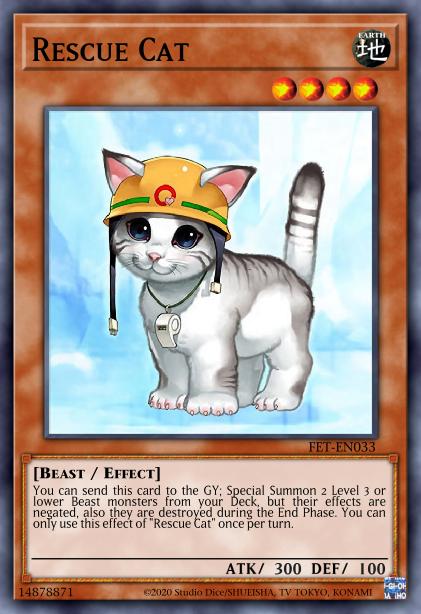 Rescue Cat Card Image