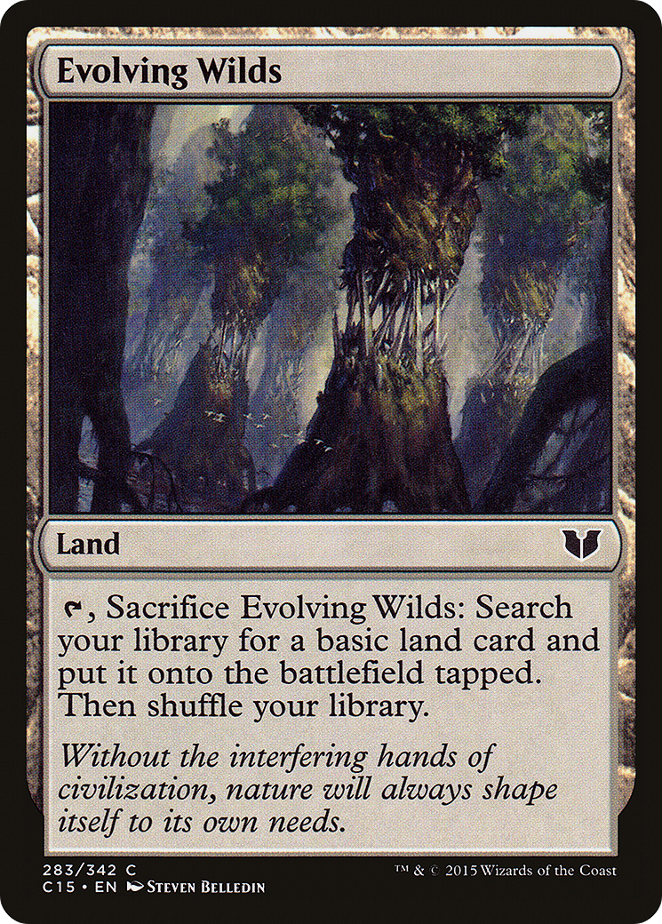 Evolving Wilds Card Image