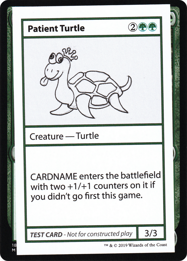 Patient Turtle Card Image