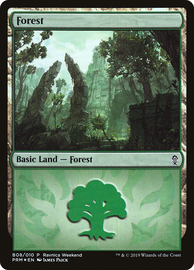 Forest Card Image