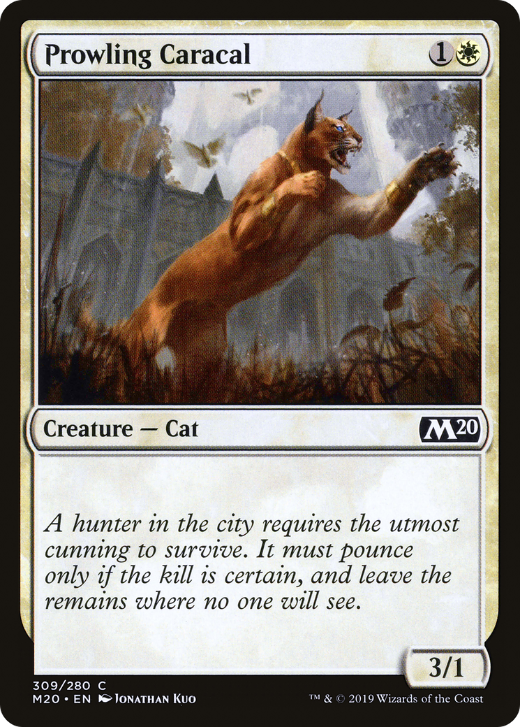 Prowling Caracal Card Image
