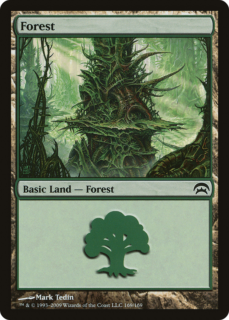 Forest Card Image